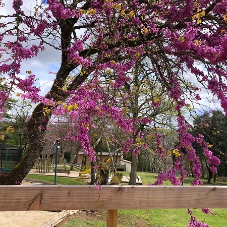 Vakantiehuis Chateau De Termes Martel