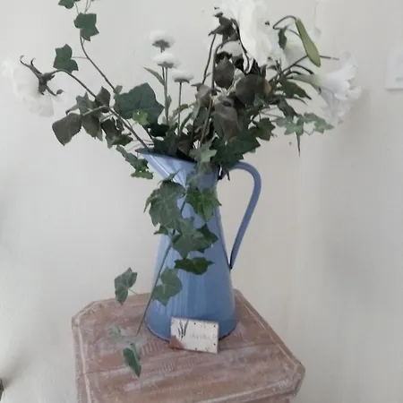 Chateau De Termes Vakantiehuis Martel