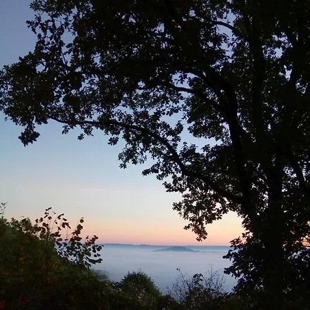 Chateau De Termes * Martel