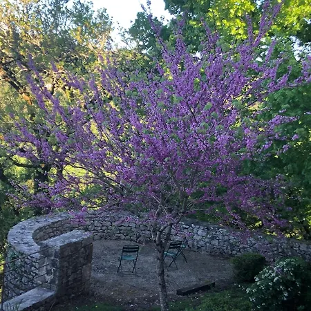 Casa vacanze Chateau De Termes *