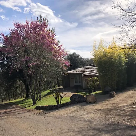Chateau De Termes Casa vacanze Martel