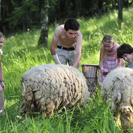 Chateau De Termes Vakantiehuis Martel