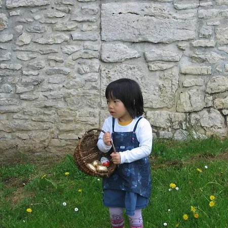 Chateau De Termes Vakantiehuis *