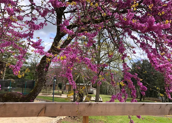 Casa vacanze Village Vacances Chateau De Termes, Gites, Chalets, Piscine, Jacuzzi, Sauna Martel