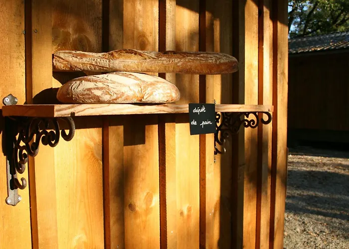 Village Vacances Chateau De Termes, Gites, Chalets, Piscine, Jacuzzi, Sauna Casa vacanze *