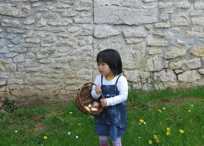 Village Vacances Chateau De Termes, Gites, Chalets, Piscine, Jacuzzi, Sauna Casa vacanze *